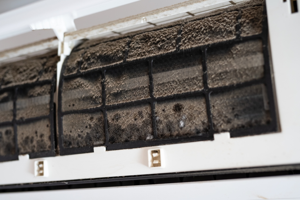 67dd251392544c02c6bb00fd_shutterstock_2293827735